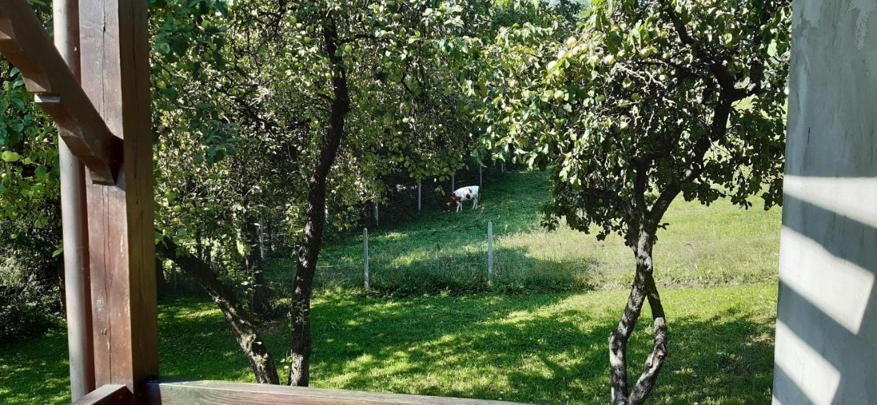 Agroturystyka Nad Czarnym Giby Luaran gambar