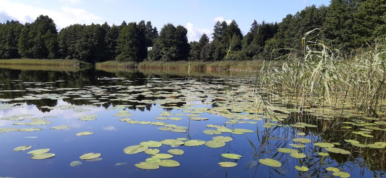 Agroturystyka Nad Czarnym Giby Luaran gambar