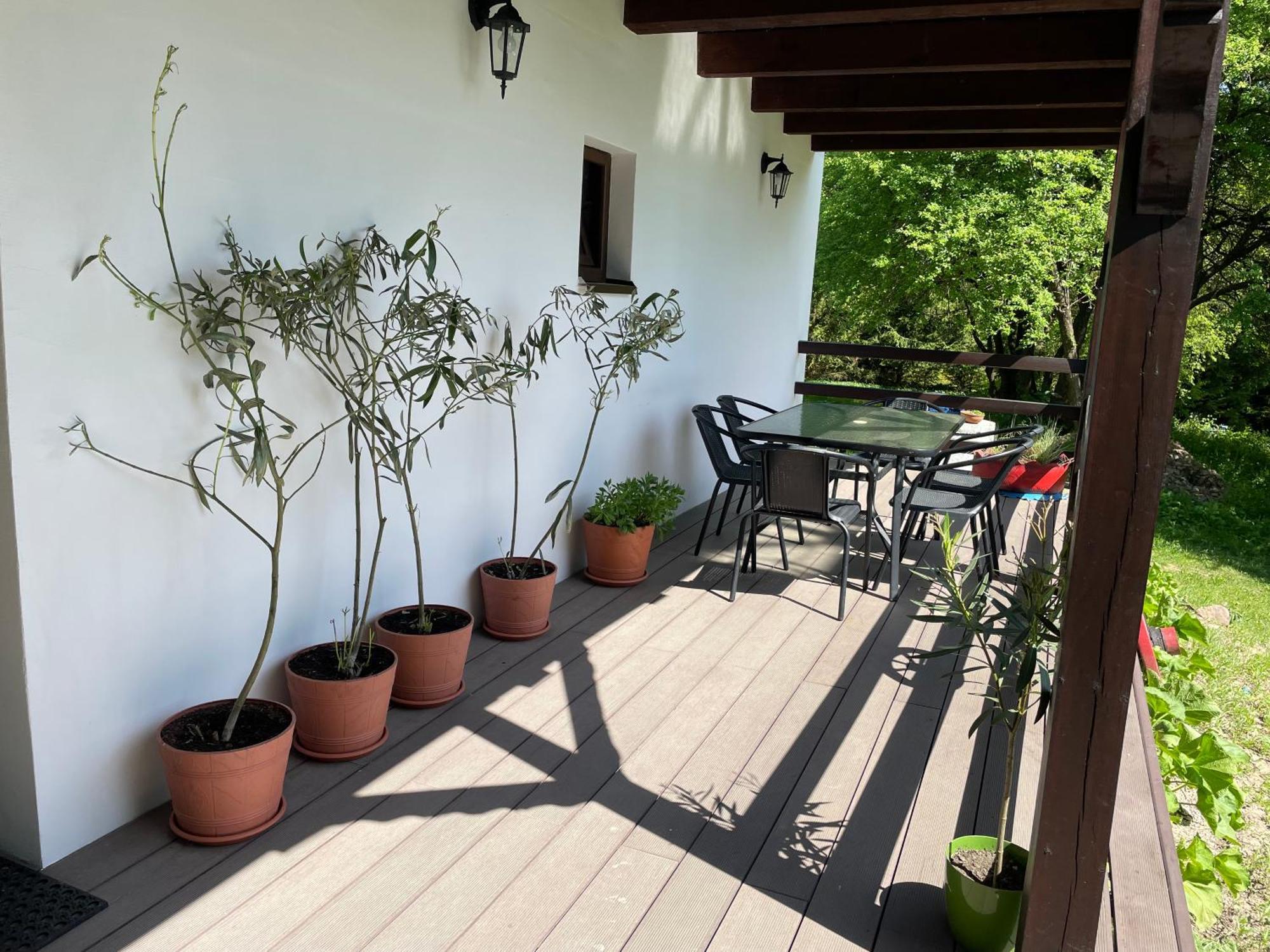Agroturystyka Nad Czarnym Giby Luaran gambar